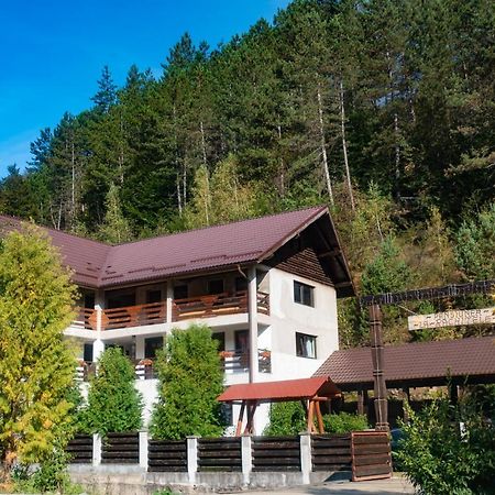 Pensiunea La Rachitele Exteriér fotografie