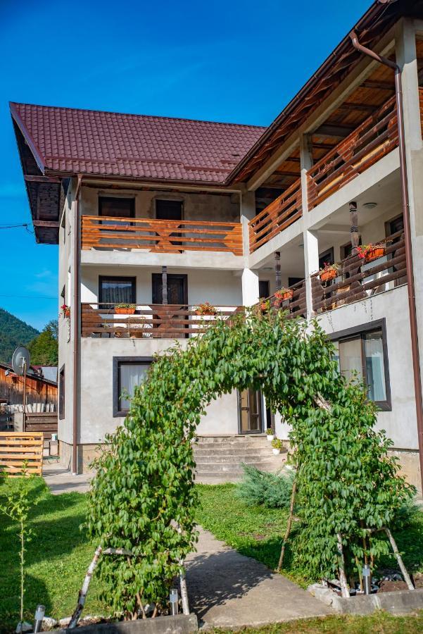 Pensiunea La Rachitele Exteriér fotografie