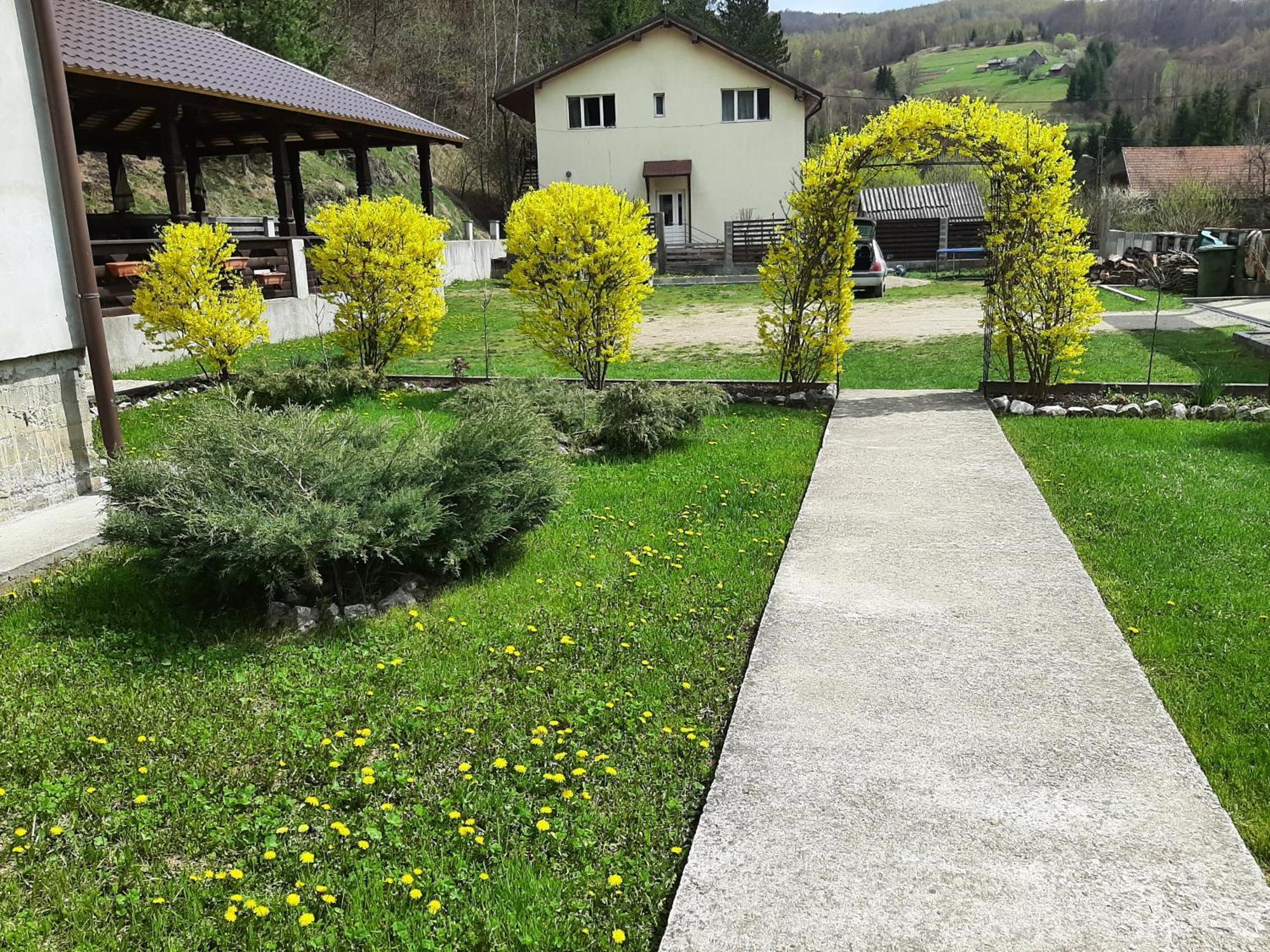 Pensiunea La Rachitele Exteriér fotografie